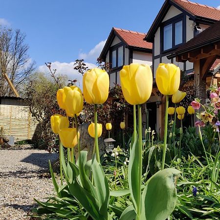 Delightful & Picturesque Modern Detached Apartment, Next To Chester Zoo, Near Park And Ride To City Centre Exterior foto